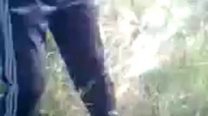 Косилка по башкирски татарски D