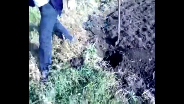 ВЕСЁЛЫЕ ПОХОРОНЫ ГОЛУБЯ КОНСТАНТИНА смотреть онлайн