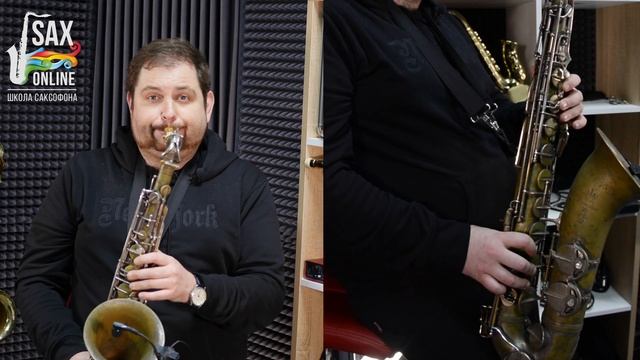 Обзор ОЧЕНЬ ДОРОГОГО мундштука THEO WANNE DURGA 3. Стоит ли покупать?