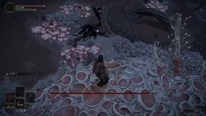 Getting the Death Poker Very Early Game and Cheese the Bird, Elden Ring.
