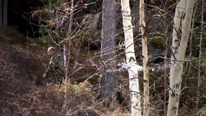 Дневник туриста.  Скальник Витязь. (Иркутская область)