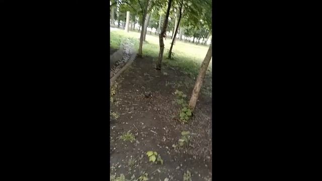 Парк Гагарина/Влог/Новый аттракцион/Катаемся с Женей/Кристина Халва смотреть онлайн