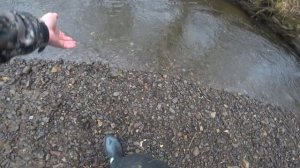 о. Сахалин, ноябрьская рыбалка мелочевки на горной речке.