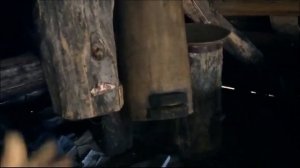 Старинные ловушки для пчёл (дуплянки)