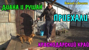 ПРИЕХАЛИ К ДИАНЕ И РУШАНУ / ИЩЕМ ДОМ / КРАСНОДАРСКИЙ КРАЙ