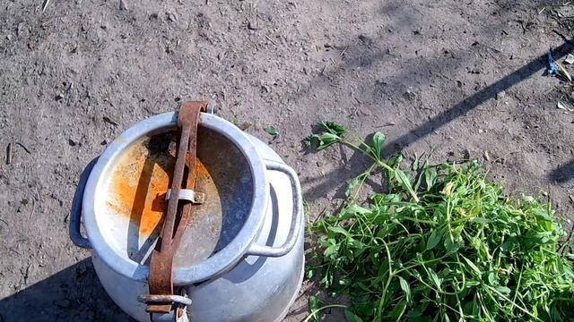 Супер удобрение для сада и огорода / Органическое удобрение своими руками