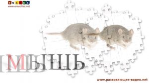 Учимся читать. Проверяем знания. Звуки животных (3)