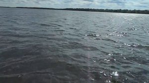 рыбалка в дельте Северной Двины в поисках зубастой