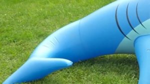 Гигантская надувная акула с водяным распылителем?