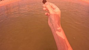 Находки на дне Азовского моря!