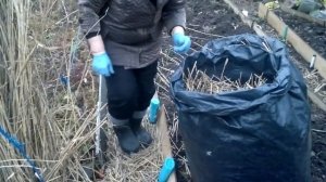 Огород ,камыш,тростник-дорожки.