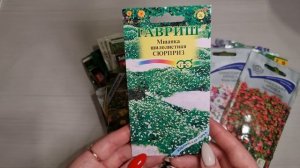 ПРОСТО ПОСЕЙТЕ! ЛУЧШИЕ МНОГОЛЕТНИКИ, которые ЛЕГКО вырастить ИЗ СЕМЯН!