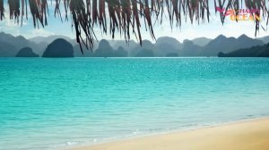 Купить хвост русалки! Настоящие Русалки плавают в Океане!