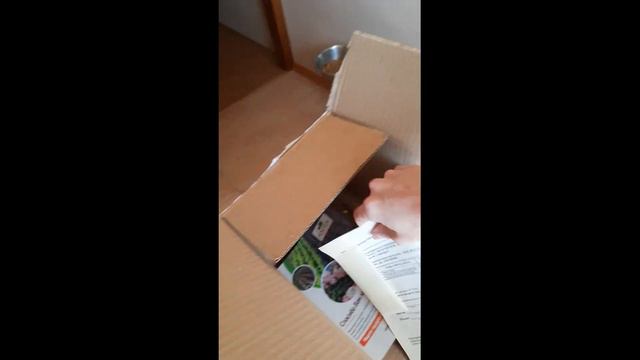 Хороший отзыв о питомнике Росток смотреть онлайн