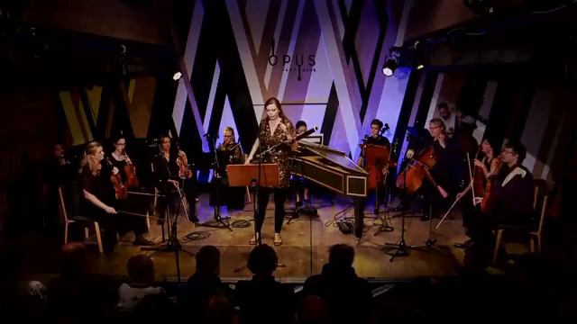 Vivaldi Bassoon Concerto in G minor RV495 - played on a Legere reed смотреть онлайн