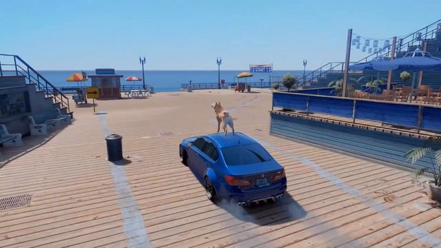 Джонни мен Чао иттерді төбелестірді(GTA V) джонни джони смотреть онлайн