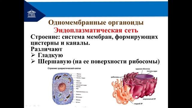 Строение клетки