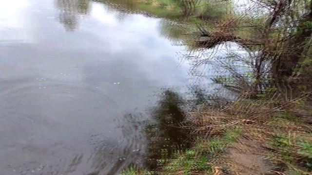 Я В ШОКЕ КРУПНАЯ РЫБА ГОЛАВЛЬ НА ЧЕРВЯ ОСНАСТКА ДОНКА   #Голавль #ЛовляГолавля #РыбалкаНаГолавля