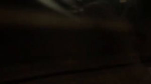 Новосибирский метрополитен. Ленинская линия.