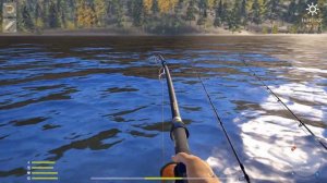 Осетр восточносибирский на Нижней Тунгуске. Нарезка. Игра русская рыбалка 4 - РР4