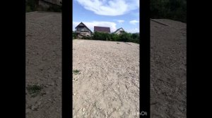 гараж мечты