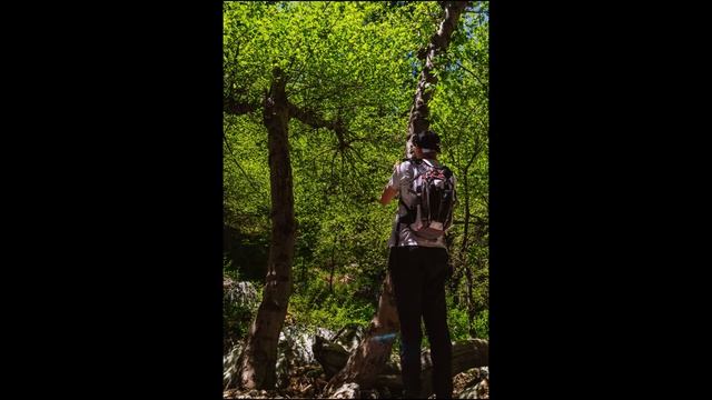 Hiking Mt. Baldy with a Sony a7ii + 28-70 kit lens. смотреть онлайн