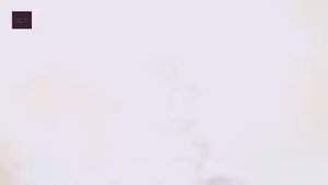 Котята поют песню мило :3