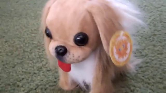 Мягкая игрушка. Собака Пекинес на батарейках смотреть онлайн