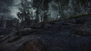 The Most Atmospheric 2019 Modded Skyrim?  (1440p 60fps)