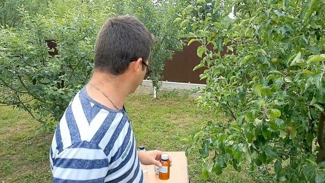 Combaterea furnicilor prin metode bio non toxice Ant killer смотреть онлайн