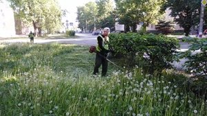 Триммер Husgvarna 143R-ll