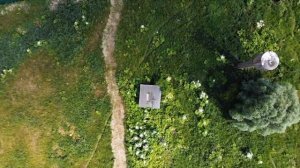 В погоне за журавлем и синицей, главное не прощелкать аиста