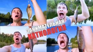 фрагмент из видео "типичная рыбалка" V.O. #язь,#окунь,#карась,#форель,#адидас#дырявыйсадок!