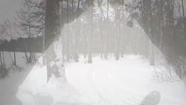 г. Белоозёрский. озеро Белое. Ветер всегда побеждает.11.12.2023.
