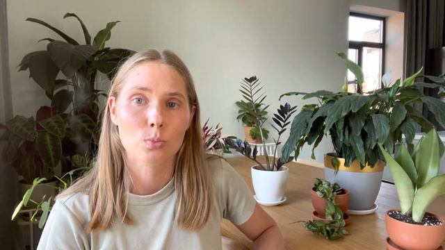 Настолько ли они неприхотливы в уходе, как о них говорят! смотреть онлайн