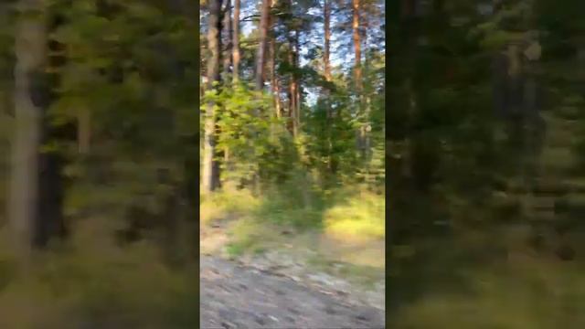 г. Томск, красота села Вершинино! смотреть онлайн