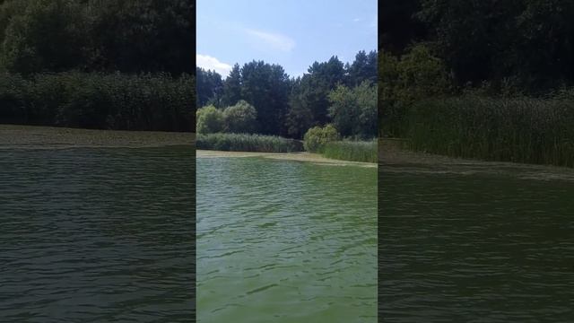Белое озеро, Белоозерск, Березовский район. 17.07.2023г.