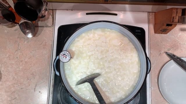 Сыр с голубой плесенью по рецепту французских коллег смотреть онлайн