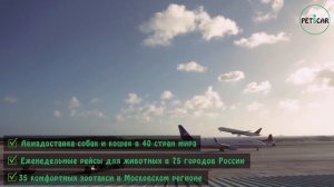Онлайн-сервис зоотакси «PetsCar». О компании.