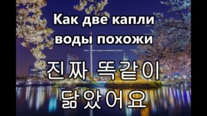 Фразы(блок 3) - Слова на корейском языке. Ёнин.