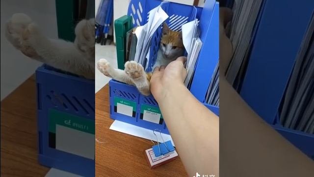Завтра на работе