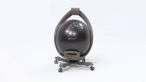 Premium Balance Ball&reg; Chair   Gaiam