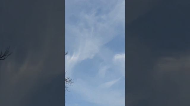 купол земли, плоская земля смотреть онлайн