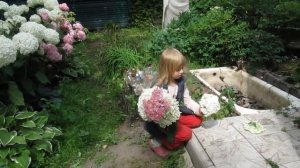 Опора для древовидных гортензий 15.07.2017г.