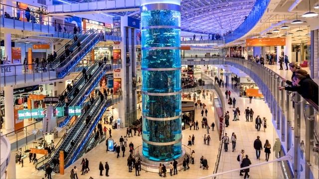 Как мотивировать себя учиться и готовиться к ЕГЭ весной?