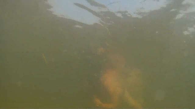 Дайвинг 2 смотреть онлайн