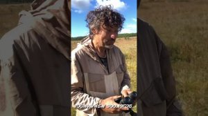 Шаманская трава Schizonepeta multifida