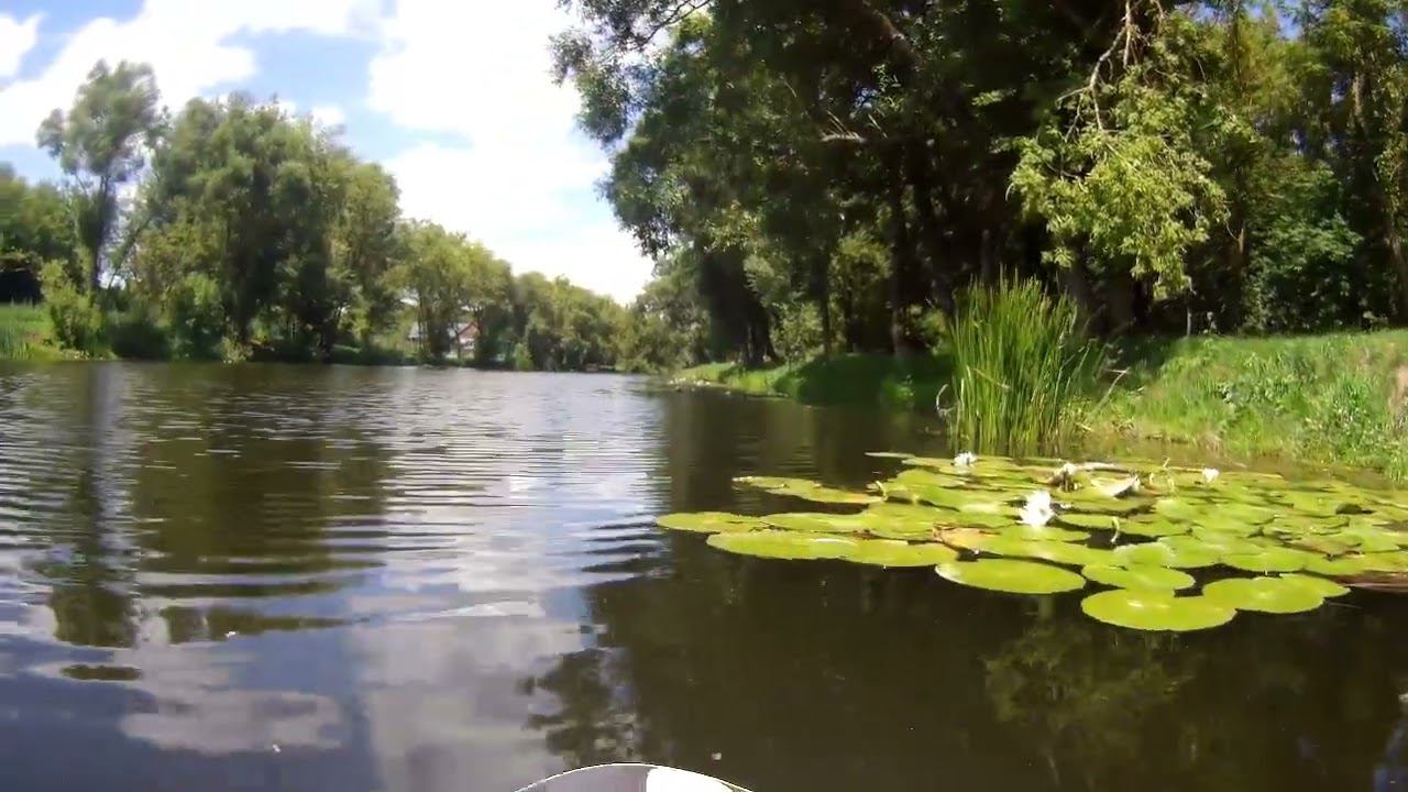 Парк мельниц, Есть в графском парке смотреть онлайн