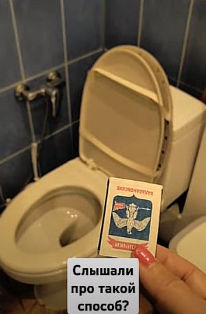 Как МГНОВЕННО убрать запах в туалете #elenamatveeva #каксделать #вдомашнихусловиях #хитрости #видео
