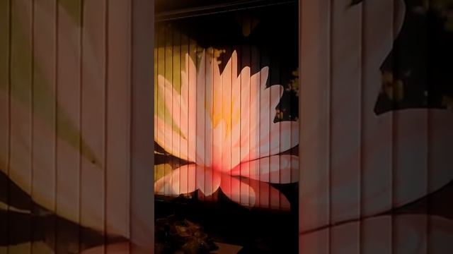 VIDEO0157 смотреть онлайн